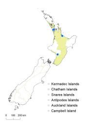 Veronica peregrina var. peregrina distribution map based on databased records at AK, CHR & WELT.
 Image: K.Boardman © Landcare Research 2022 CC-BY 4.0